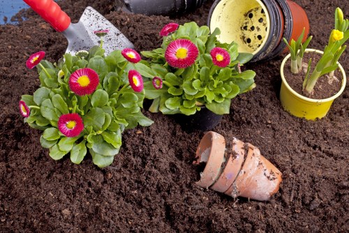 The image depicts a garden bed with freshly turned dark brown soil, featuring two healthy vibrant primula plants with bright pink and yellow flowers and green foliage positioned towards the left side. To the right, there are two small pots: one yellow containing a young green sprout emerging from moist soil, and another smaller yellow pot with an already sprouted plant. Nearby, a broken terracotta plant pot lies partially buried in the soil, indicating recent planting or potting activity. In the background, a gardening trowel with a red handle is embedded in the soil, suggesting ongoing gardening work. The scene appears to be set on a clear, bright day, with natural light highlighting the fresh, rich soil and lively plant colours, characteristic of a well-maintained backyard garden in Dalston, suitable for lawn care and outdoor landscape improvements provided by Landscapers Dalston.