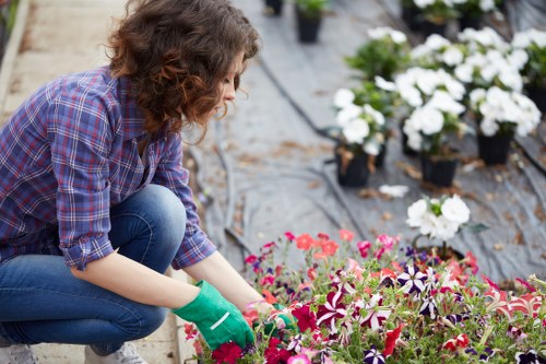 A person with curly brown hair, dressed in a purple plaid shirt and jeans, is kneeling on a garden path or lawn, engaging in planting or caring for vibrant pink, purple, and white flowers in a landscaped outdoor garden. The garden features a well-maintained grassy area, neatly arranged flower beds with a variety of colorful flowering plants, and some young shrubs or bushes. In the background, there are other potted plants and gardening tools, indicating active garden maintenance or planting activity. The scene appears to be in natural daylight with slightly overcast weather, enhancing the natural tones of the soil, green foliage, and blooming flowers. This setting reflects professional gardening practices by Landscapers Dalston, emphasizing careful plant care and neat outdoor space organization typical of local gardening services in Dalston, London.