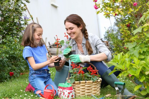 Sustainable garden features including water harvesting and organic mulching in Dalston.