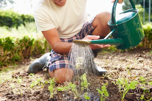 The image shows a person kneeling on a garden soil bed, watering young plants with a green watering can. The garden has a well-maintained lawn with dense, green grass in the background, bordered by a neatly trimmed hedge. The soil bed contains small, emerging plants in early growth stages, with visible stems and leaves. The surrounding environment appears bright and sunny, suggesting a clear day. The garden layout includes a mix of lawn, soil beds, and possibly flower borders, indicating a landscaped outdoor space typical of residential gardens in Dalston. This scene reflects routine gardening activities and highlights the importance of watering and plant care, aligning with professional gardening services offered by Landscapers Dalston for maintaining healthy outdoor environments.