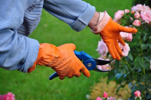 A close-up view of a person’s hands wearing orange gardening gloves, using a small pair of pruning shears to trim pink flowering shrubs in a well-maintained garden. The background shows a lush green lawn with grass that appears dense and healthy, alongside a flower bed bordered by soil and mulch. The person is dressed in a light grey long-sleeve shirt, suggesting outdoor gardening activity in a residential outdoor space. The scene is set on a bright, clear day, likely in Dalston or nearby in London, highlighting the outdoor maintenance services offered by Landscapers Dalston for flower bed creation and garden upkeep, with natural tones of green, pink, and brown contrasting across the garden layout.