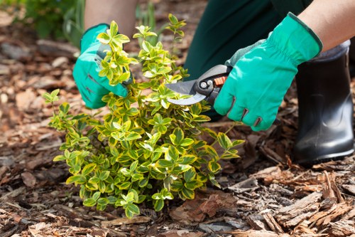 Professional team of Landscapers Dalston at work