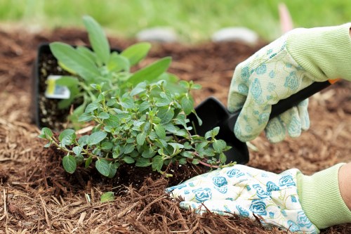 Professional team clearing a garden