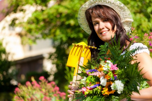 Seasonal lawn care in Dalston during spring