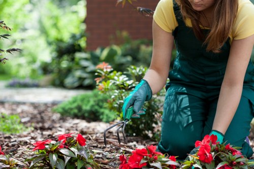 A close-up view of a person kneeling on a garden bed in a well-maintained outdoor space, with a variety of vibrant flowering plants, including red blooms and green foliage, arranged along soil borders. The individual, dressed in a yellow top and dark green apron, is wearing gardening gloves and using a small hand rake to tend to the soil around the plants. The background shows lush greenery, a brick wall, and additional garden beds, indicating an organized and cared-for garden environment typical of residential landscaping in Dalston. The scene features natural daylight, suggesting a clear weather condition, and highlights the importance of garden maintenance and planting services offered by local landscapers such as Landscapers Dalston, supporting garden aesthetics and outdoor curb appeal.