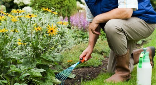 Seasonal garden care in Dalston