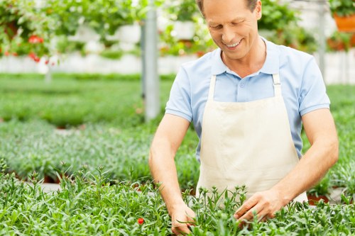 Professional landscaper planning a garden layout in Dalston