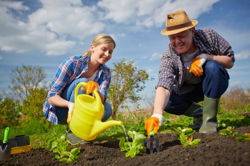 A young woman and an older man are working together in a garden during daytime, planting small green leafy plants in rich, dark soil. The woman has blonde hair tied back and is wearing a blue plaid shirt with orange gardening gloves, holding a yellow watering can over the plants. The man, wearing a straw hat, a checkered shirt, and green rubber boots, is crouching beside her, using a small handheld tool to tend to the soil around the plants. The garden is situated in an outdoor space with a backdrop of blue sky and some scattered clouds, indicating fair weather. The background also features trees with budding leaves, suggesting a spring season. The garden layout appears well-organized with fresh, healthy plants in neat rows, and the soil looks well-maintained and fertile. This scene reflects active gardening and outdoor maintenance, typical of residential gardening services in Dalston, with natural light enhancing the vibrant green tones of the plants and the natural textures of the soil and gardening tools. The setting demonstrates the outdoor environment tailored for gardening activities in an urban or suburban area, fitting with services provided by Landscapers Dalston.