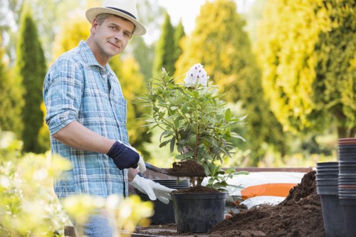 Local Dalston tree care professionals