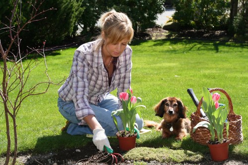 Assessing garden clearance needs