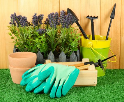 The image displays a neatly organized garden corner on a lush green lawn, featuring a row of potted lavender plants with purple flower spikes and green foliage arranged along a wooden fence. In the foreground, there are two unglazed terracotta pots, one larger and one smaller, placed next to a wooden gardening tool tray that holds a pair of bright turquoise gardening gloves, a small hand rake, and a pair of pruning shears. To the right, a yellow plastic bucket contains gardening tools such as a hand trowel, a cultivator, and a small spade with black handles. The setting appears to be well-maintained and suitable for outdoor gardening activities typical of lawns or landscaped gardens in Dalston or similar areas. The scene suggests preparation for planting, weeding, or general garden upkeep, aligning with professional gardening services offered by Landscapers Dalston, with a natural daylight atmosphere indicating fair weather and good visibility for outdoor work.