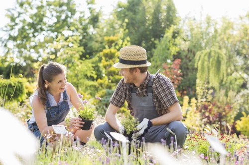 Maintenance tools and techniques for a healthy Dalston landscape garden.