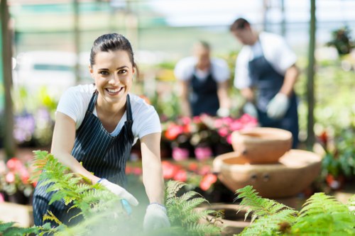 Professional garden maintenance tasks